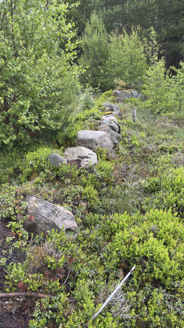 Line of stones in the woods — foundation of a prehistoric house near Osby