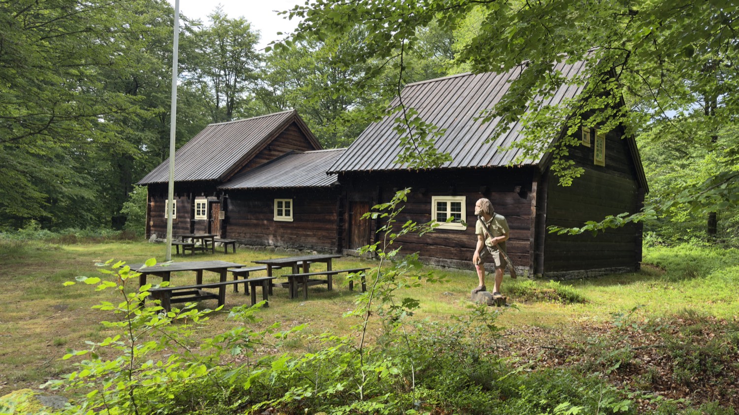 Dark, tar-blackened log house in a forest clearing near Osby