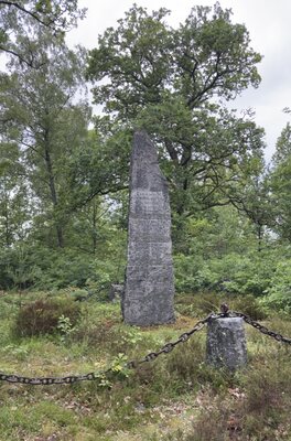 Slagminnesmärke vid Sibbarp i skogen nära Osby