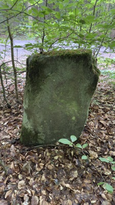 Mossbeklädd rest sten nära Hästveda, Skåne