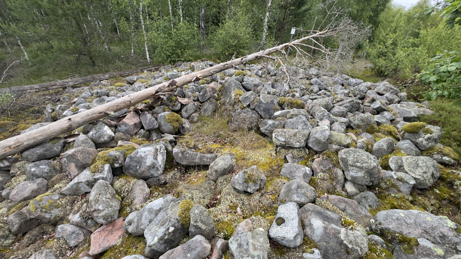Large stone cairn (röse) of grey boulders with a fallen tree trunk across it