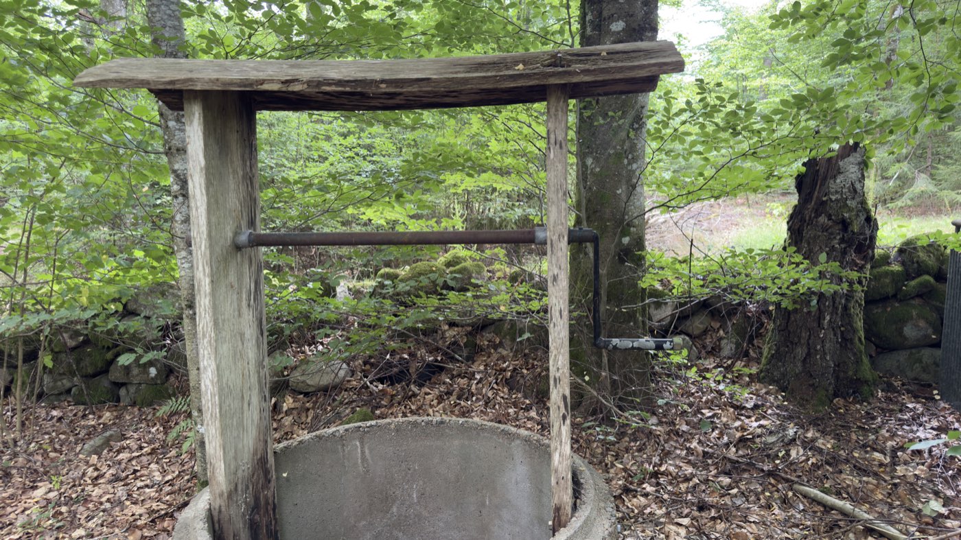 Gammal brunn med träställning och betongring i skogen, bakom den en stenmur