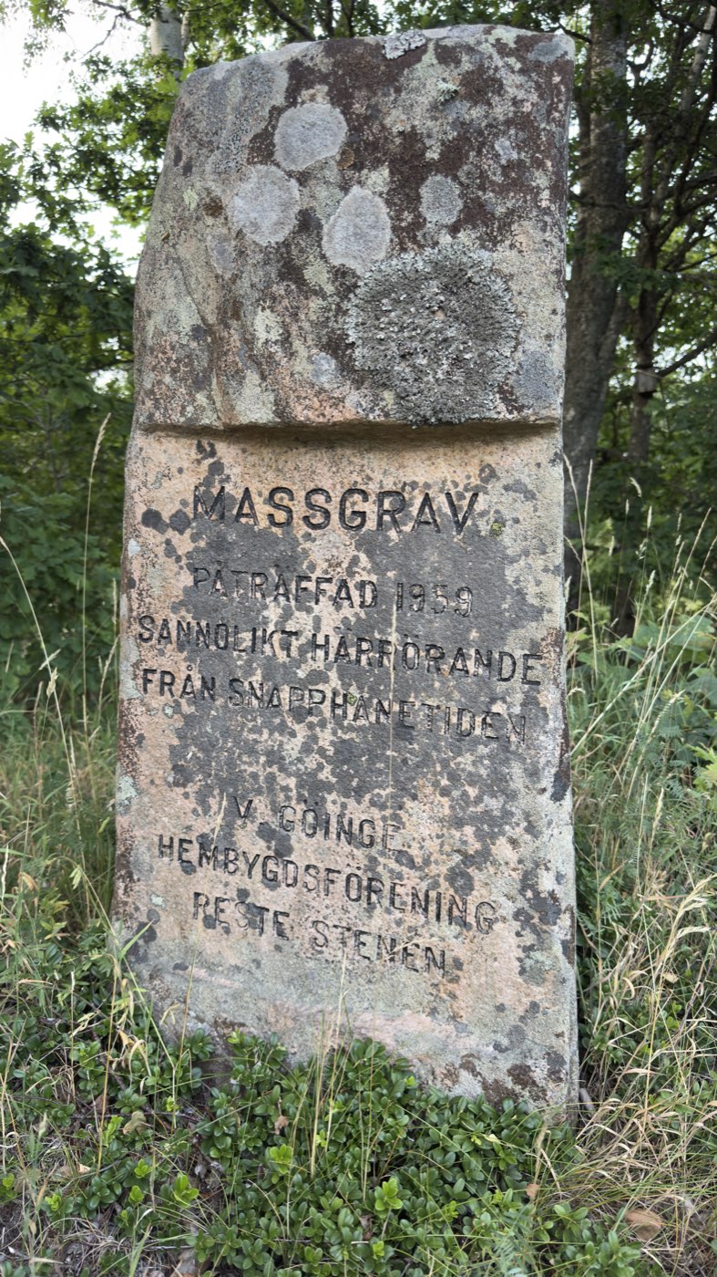 Lichen-covered granite memorial stone with the inscription MASSGRAV PÅTRÄFFAD 1959