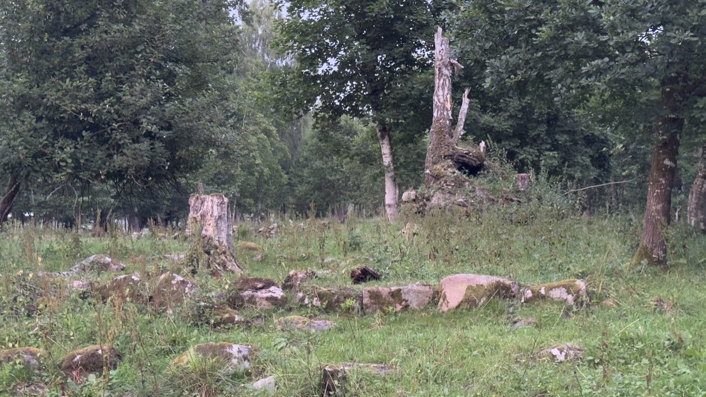 Grassy clearing with a line of stones — the house foundation of the old farmstead Sjötorp