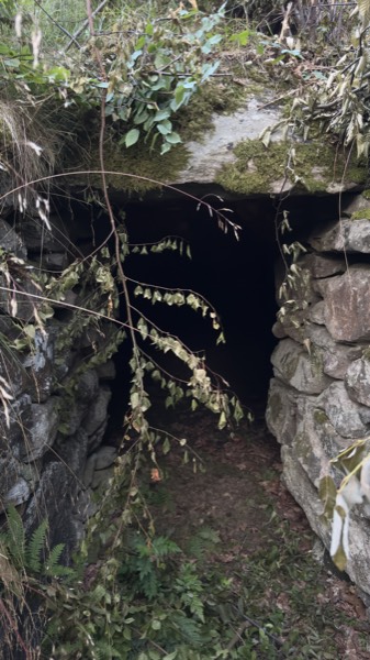 Dark entrance of an old root cellar in the woods near Verum