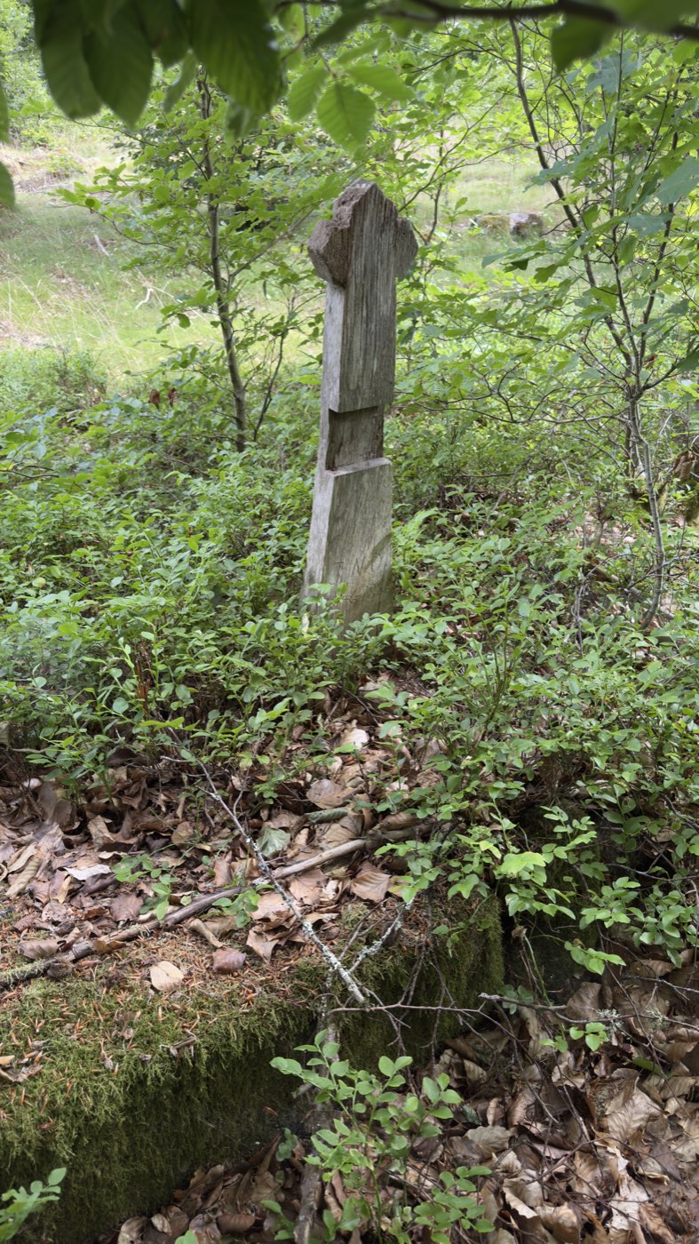 Väderbitet träkors bland blåbärsris i skogen vid Hästveda, Skåne